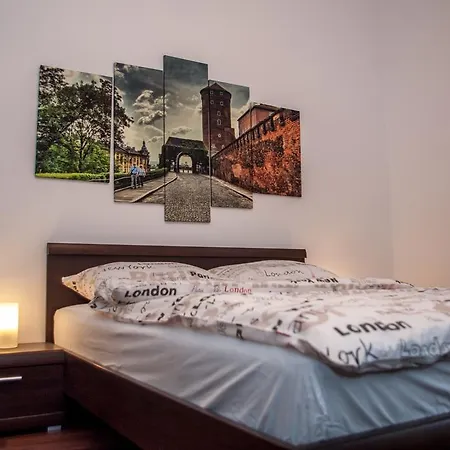 公寓 Apartament Horowitz 克拉科夫
