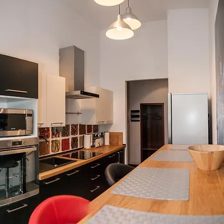 公寓 Apartament Horowitz 克拉科夫